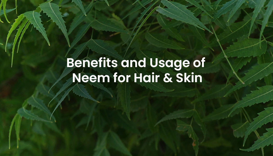 Benefits and Usage of Neem for Hair & Skin