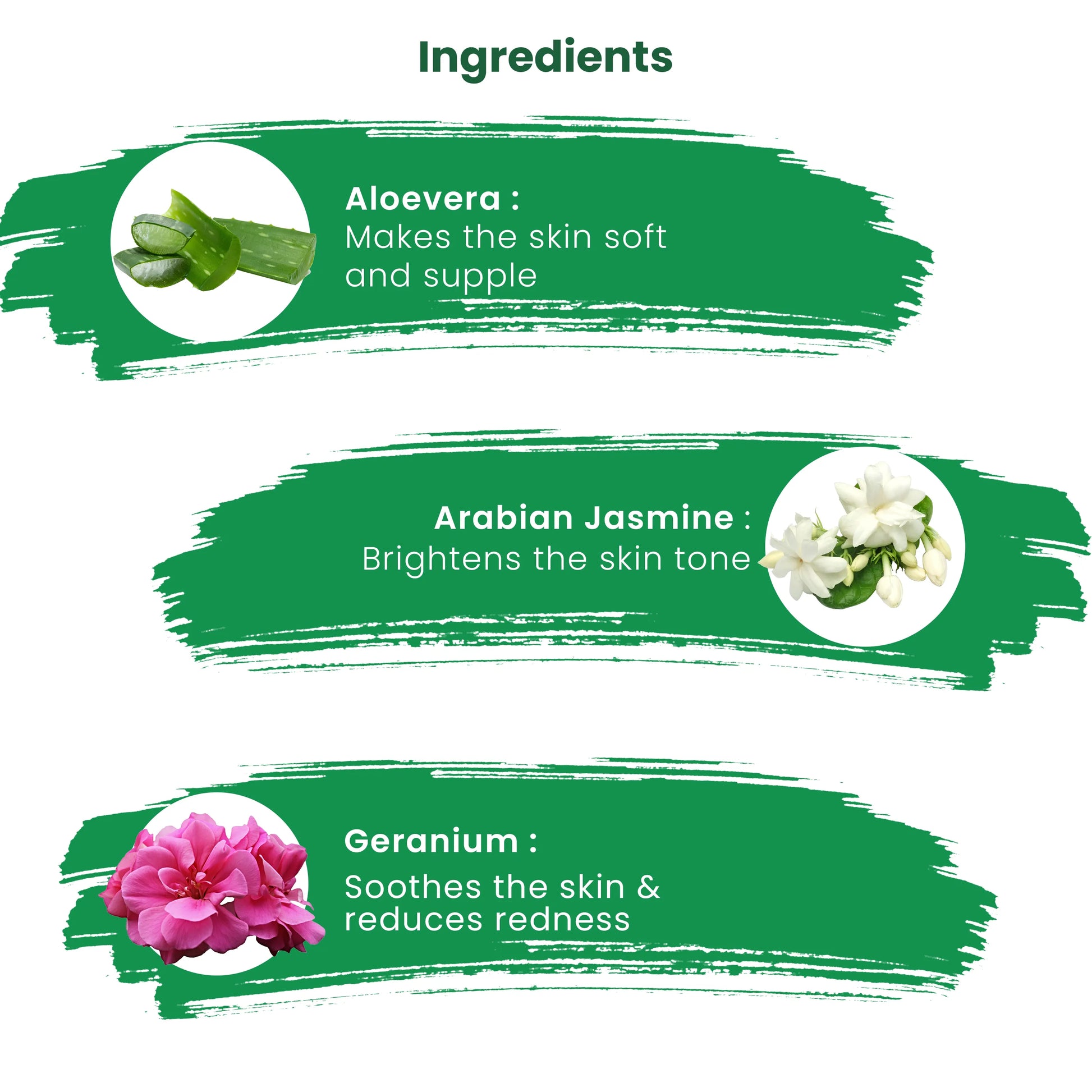 Ingredients of Aloe Vera Body Lotion