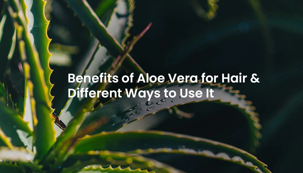 Betterment of Aloe Vera for Hair & Different Ways to Use It