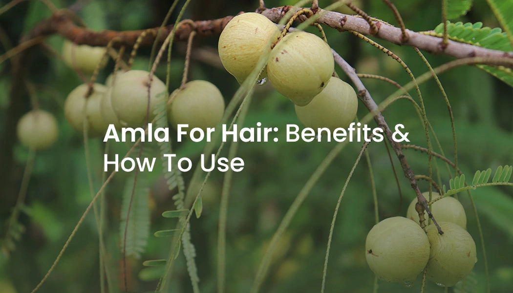 Amla For Hair: Benefits & Usage