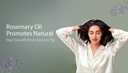 Rosemary Oil promotes natural hair growth from root top - Dhathri ayurveda products