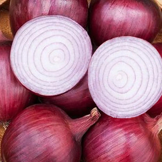 Onion