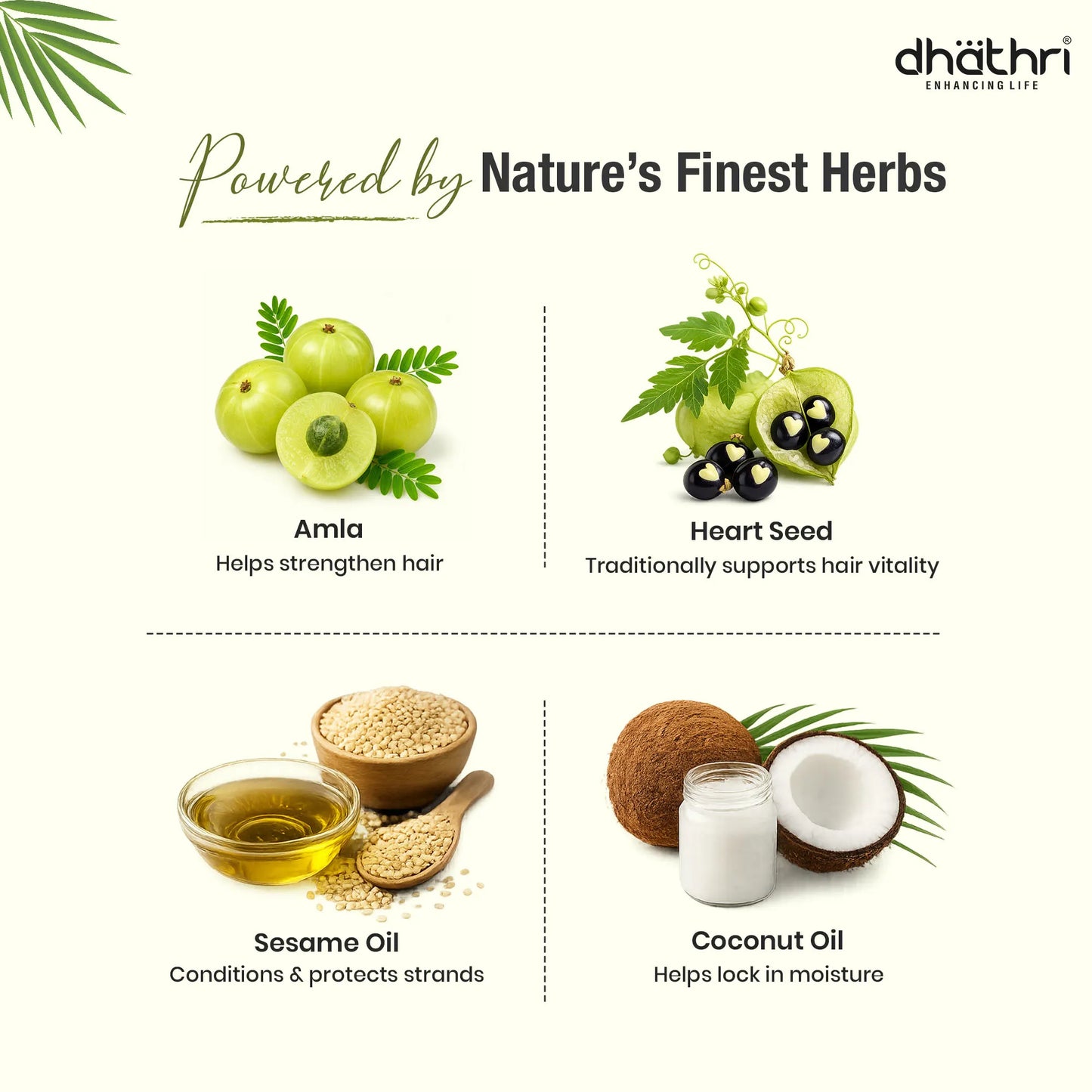 Amla And Heart Seed Hair Oil