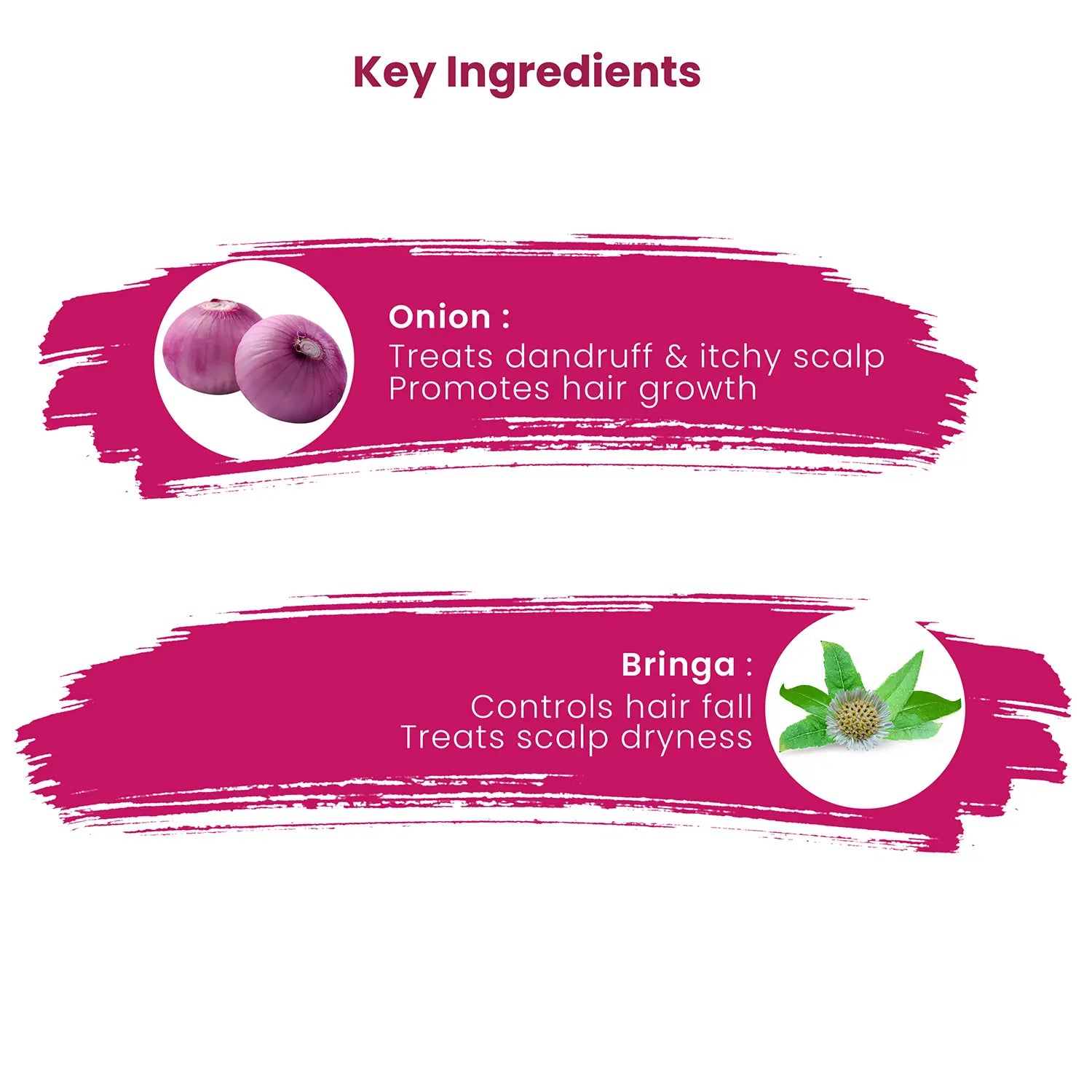 Onion Hair Care Combo Ingredients 
