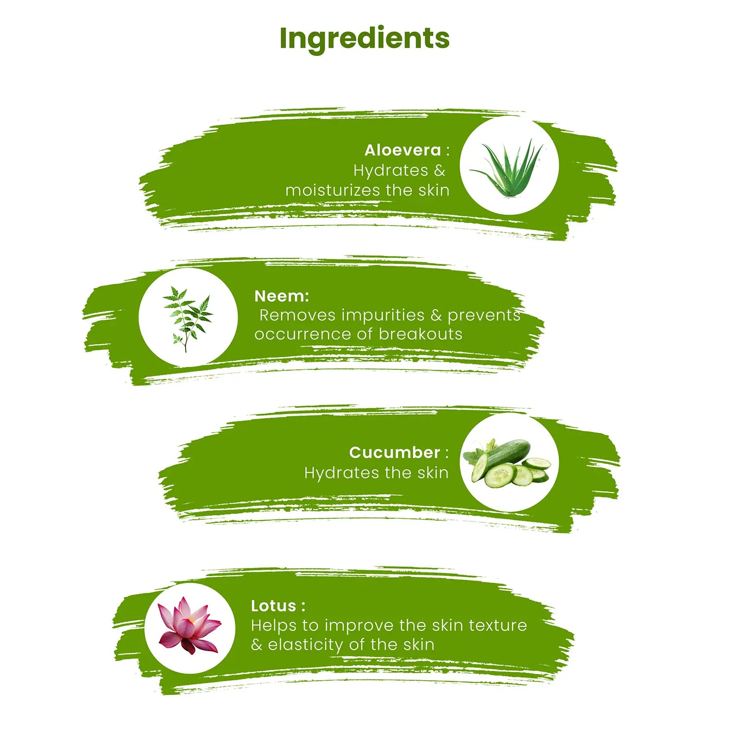 Summer Skin Care Kit Ingredients 