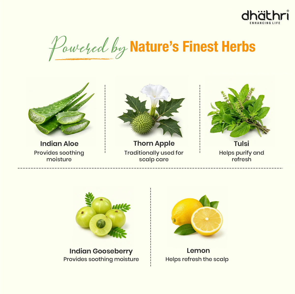 Dheedhi Lime Shampoo