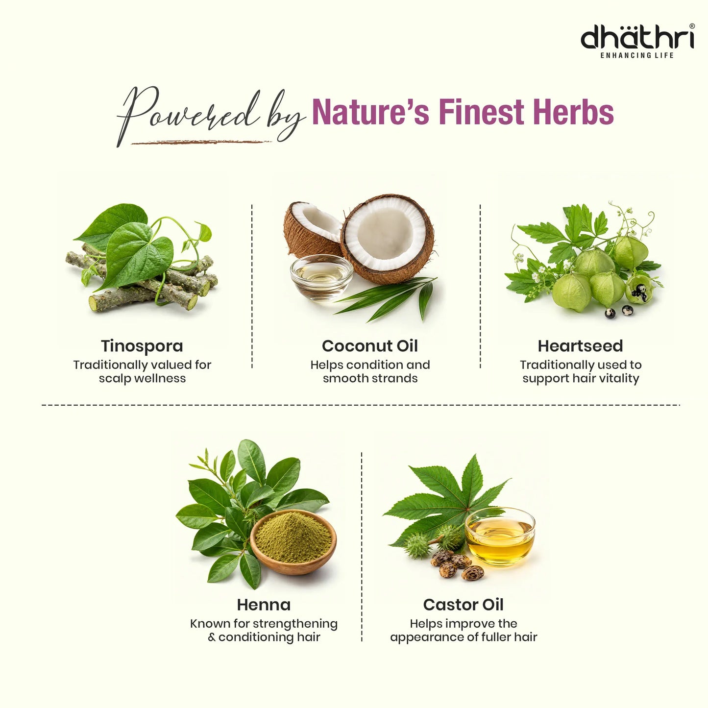 Dheedhi Volume & Thickness Herbal Shampoo