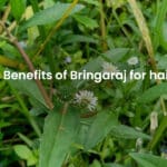 Btingaraj For Hair